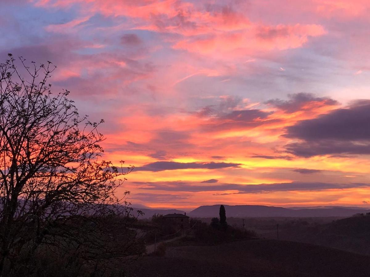 Appartamento Crete Senesi Castelnuovo Berardenga Exterior foto